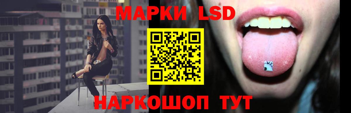 A PVP Новотроицк