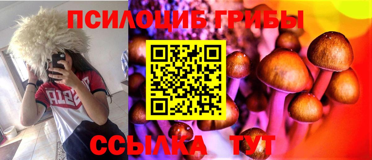 Галлюциногенные грибы Magic Shrooms  Вход с VPN  Новотроицк 